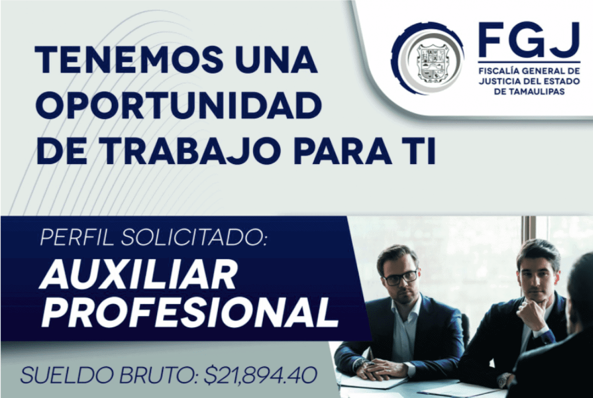 AUXILIAR PROFESIONAL