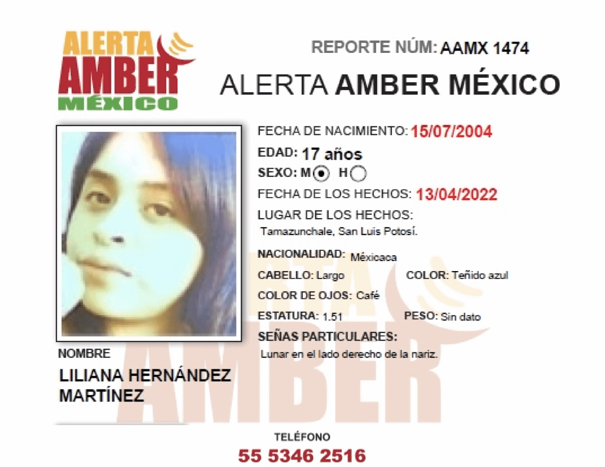 ALERTA AMBER LILIANA HERNANDEZ