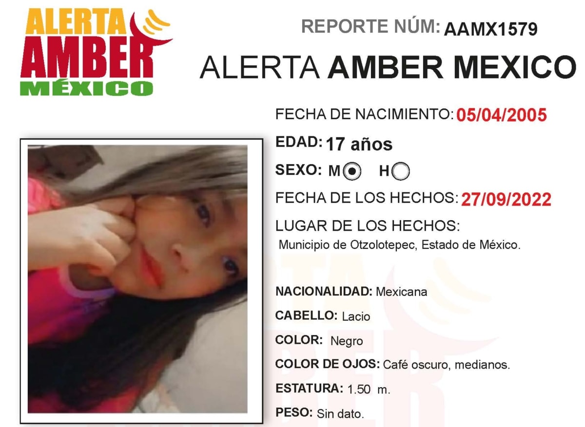 Alerta Amber Brenda Michel