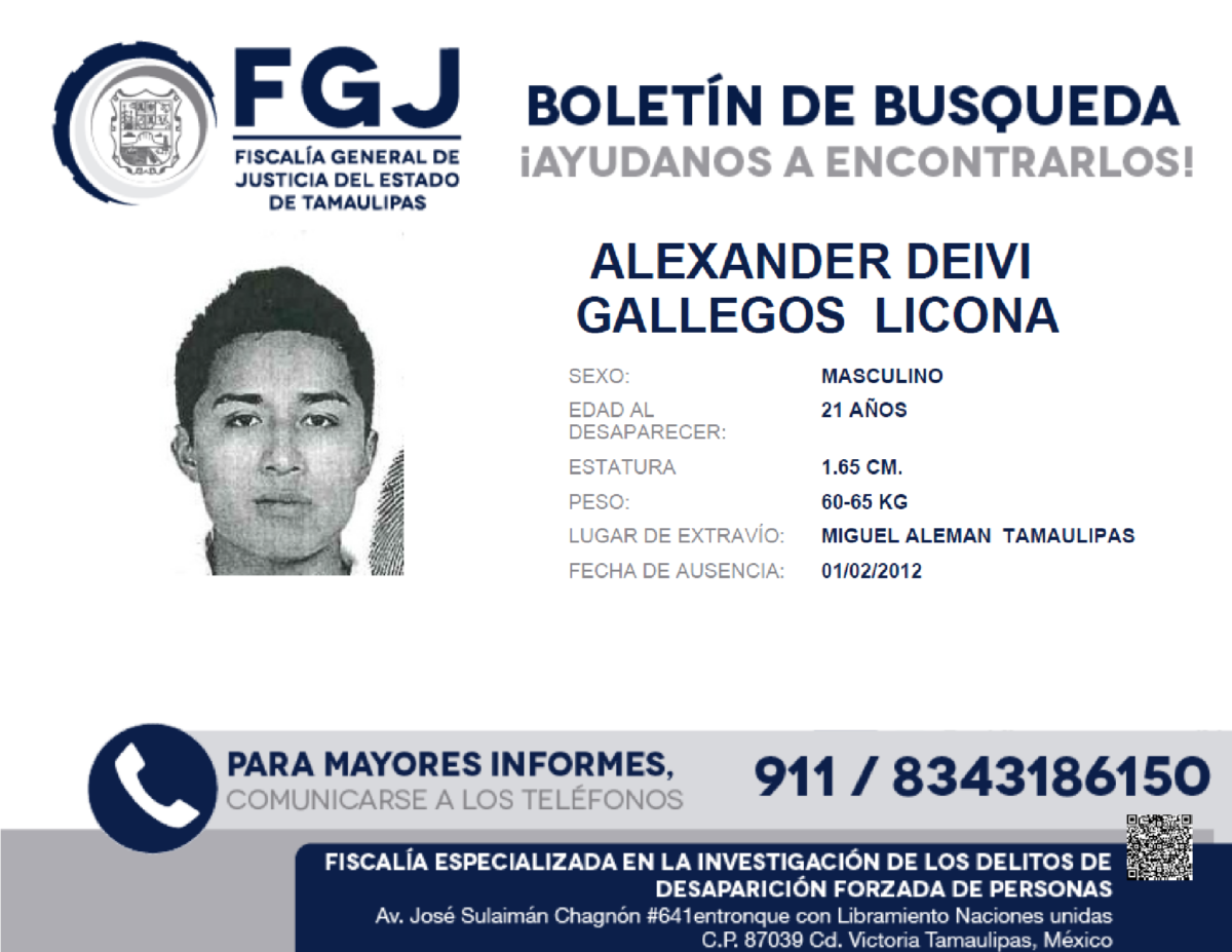 ALEXANDER DEIVI GALLEGOS LICONA