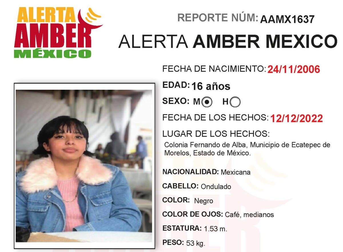 Alerta Amber Abril Montes