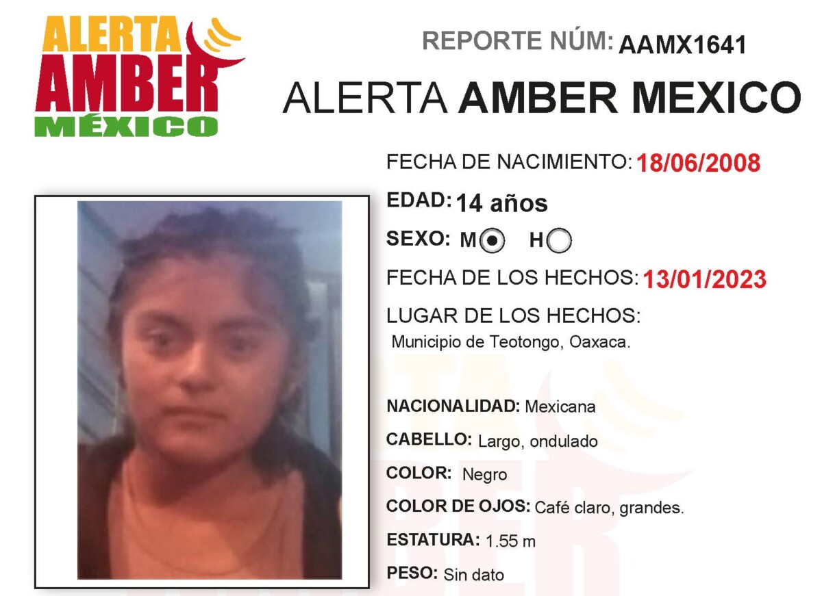 Alerta Amber Guadalupe Santiago