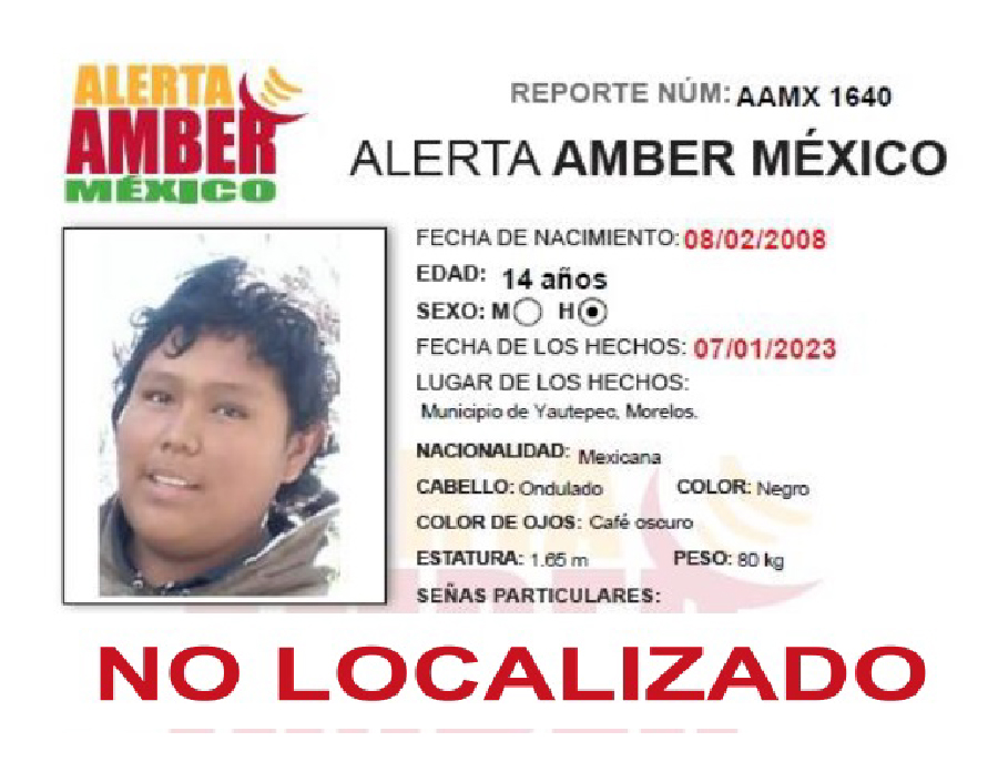 Alerta Amber