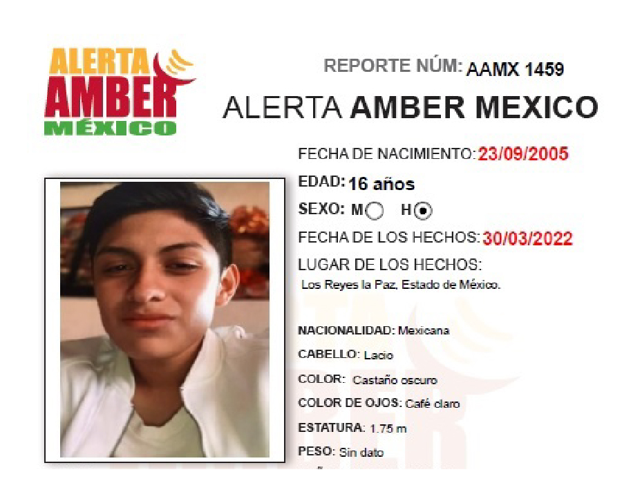 Alerta Amber Nicolay