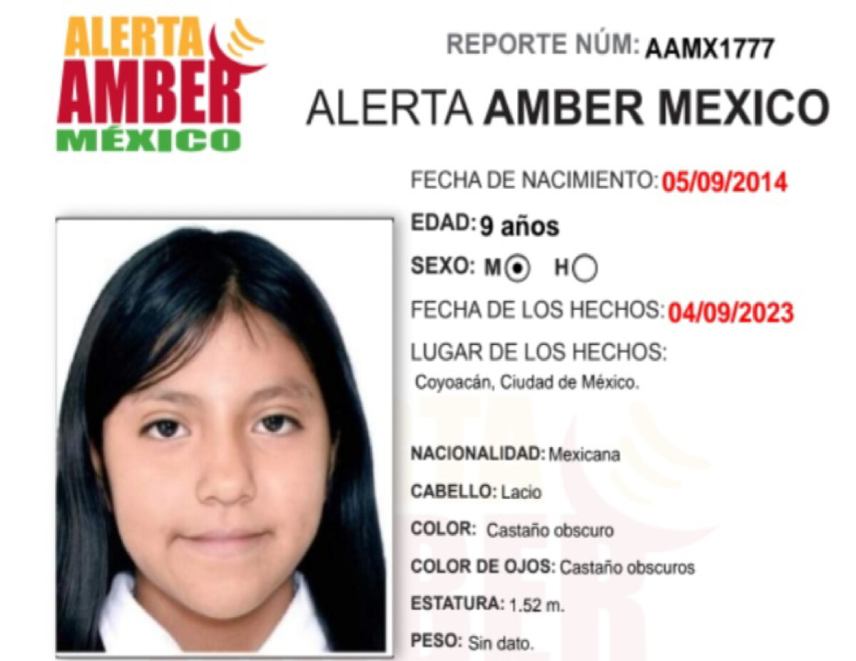 Alerta Amber Fernanda Mallinali