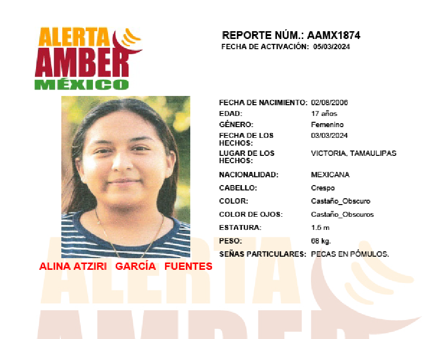 Alerta Amber Alina