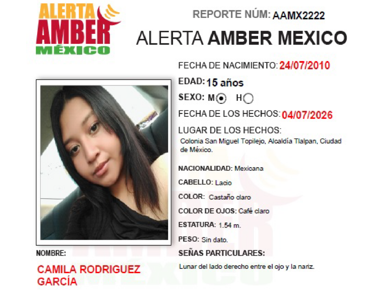Alerta Amber Camila