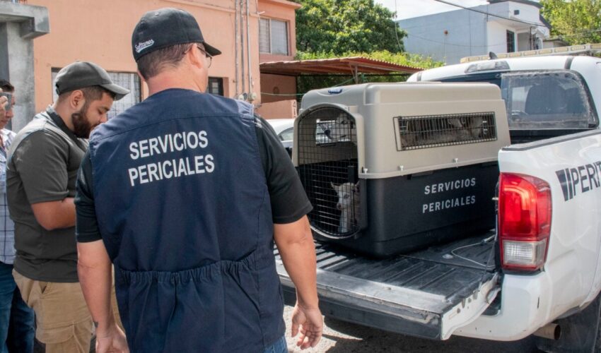 FISCALÍA GENERAL DE JUSTICIA.  COMUNICACIÓN SOCIAL.  FGJE—398-2026